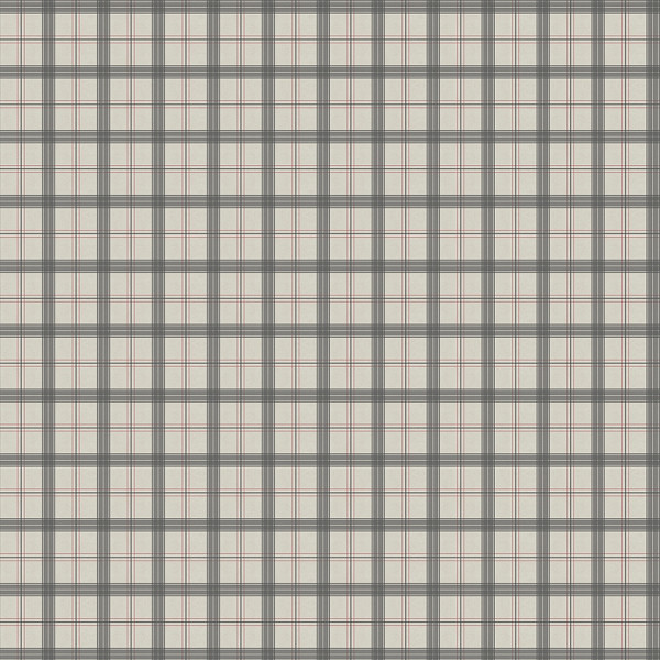 SCT6025