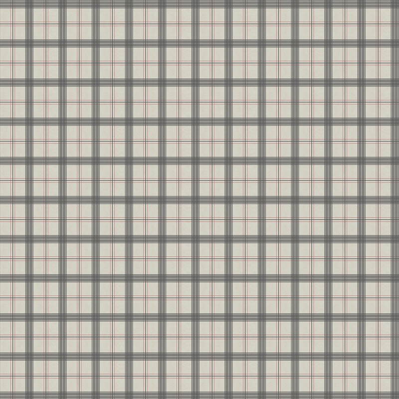 SCT6025