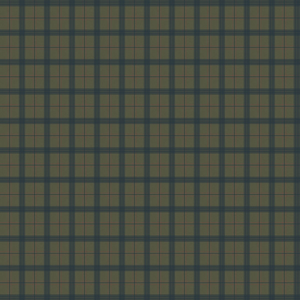 SCT6024