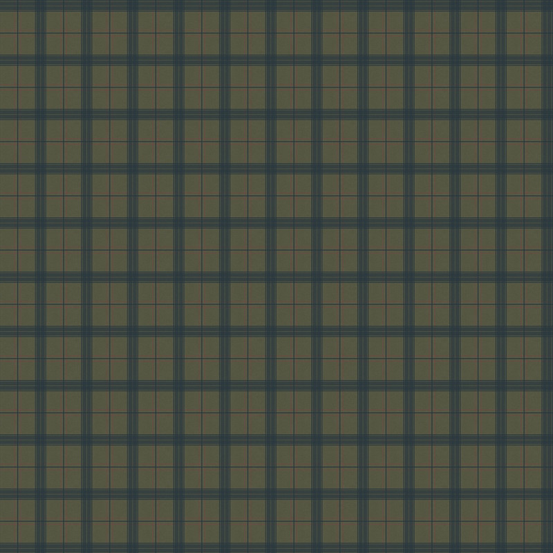 SCT6024