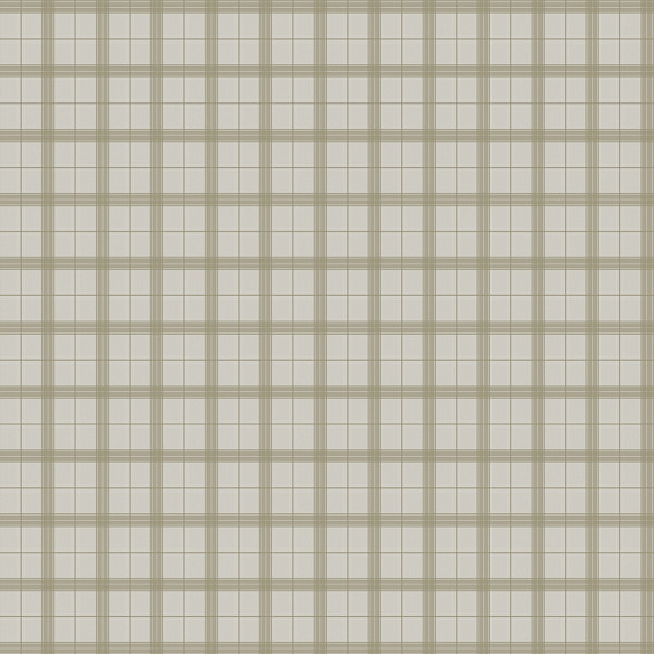 SCT6019