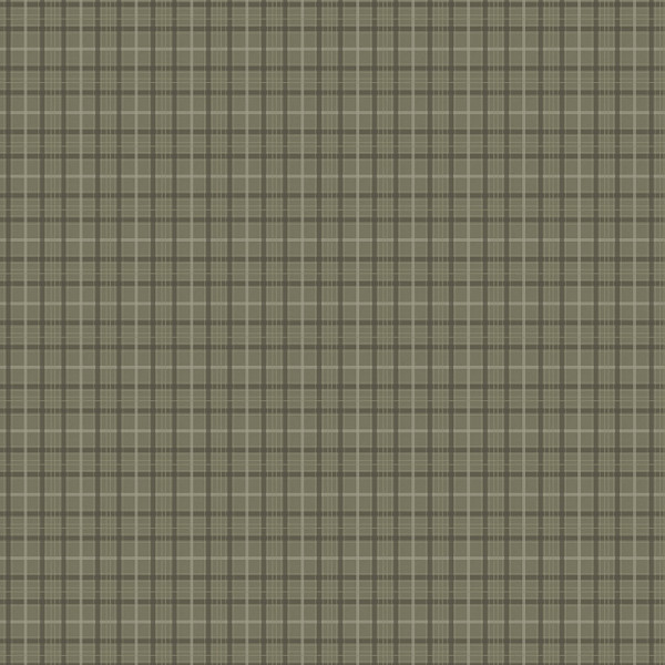 SCT6028