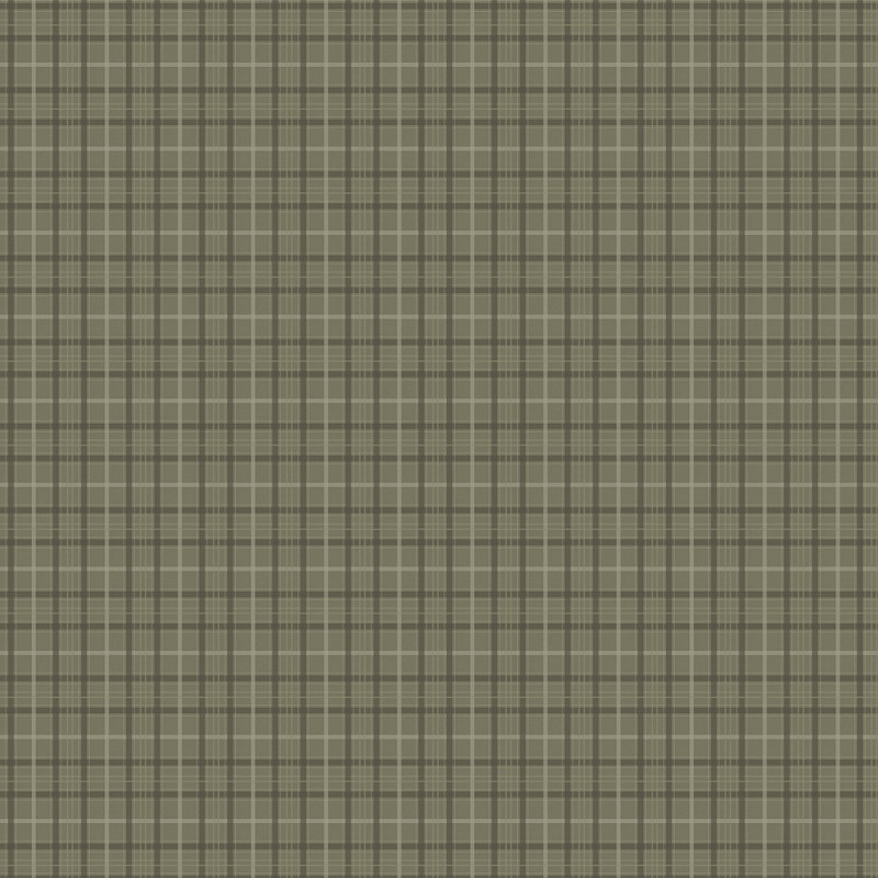 SCT6028